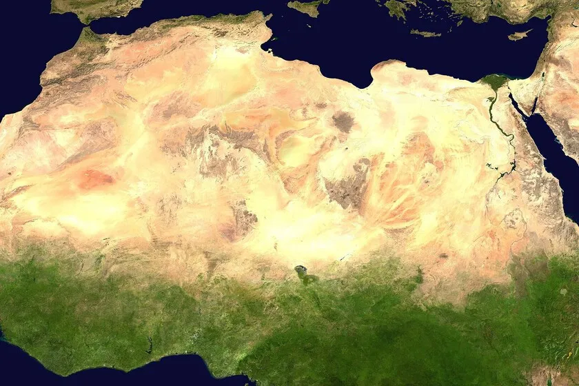 África quiere plantar 100 millones de árboles desde hace 19 años. Ahora su Muralla Verde en el Sáhara va tomando forma