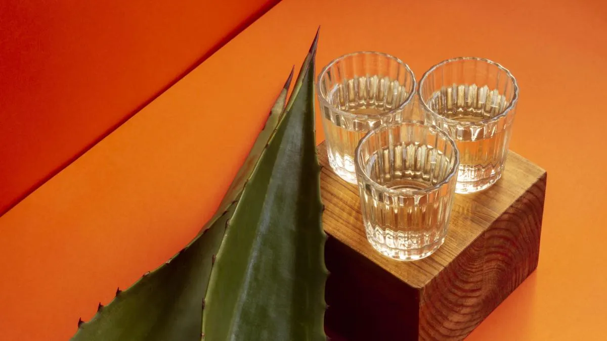 Michoacán ofrecerá taller de maguey y mezcal