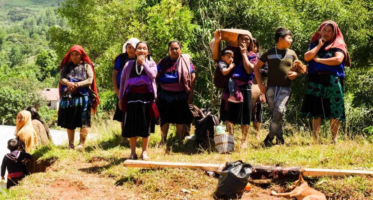 SCJN discutirá amparo sobre desplazamiento forzado; Consejo alerta riesgo para miles de víctimas en México