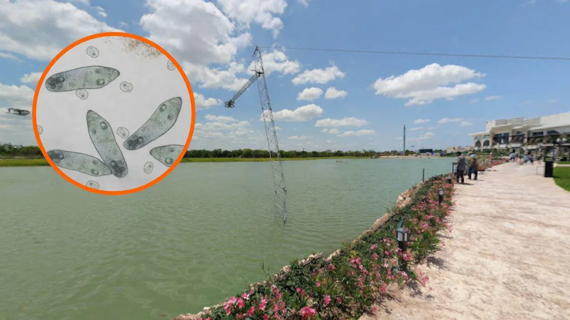 Detectan ameba ‘comecerebros’ en seis lagos artificiales de Mérida; restringen acceso
