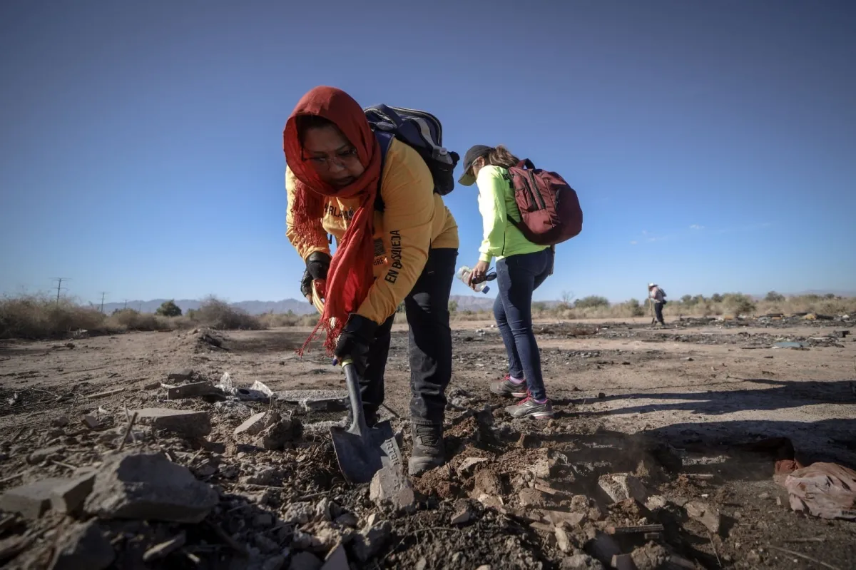 Hallan cráneo y otros restos óseos en jornada de búsqueda en carretera Sonoyta-Puerto Peñasco