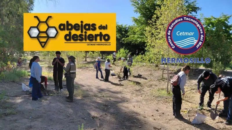 Abejas del Desierto, una iniciativa nacida en CETMAR Hermosillo, impulsa una propuesta de red de viveros escolares que busca producir 100 mil plantas nativas al año para reforestar la ciudad
