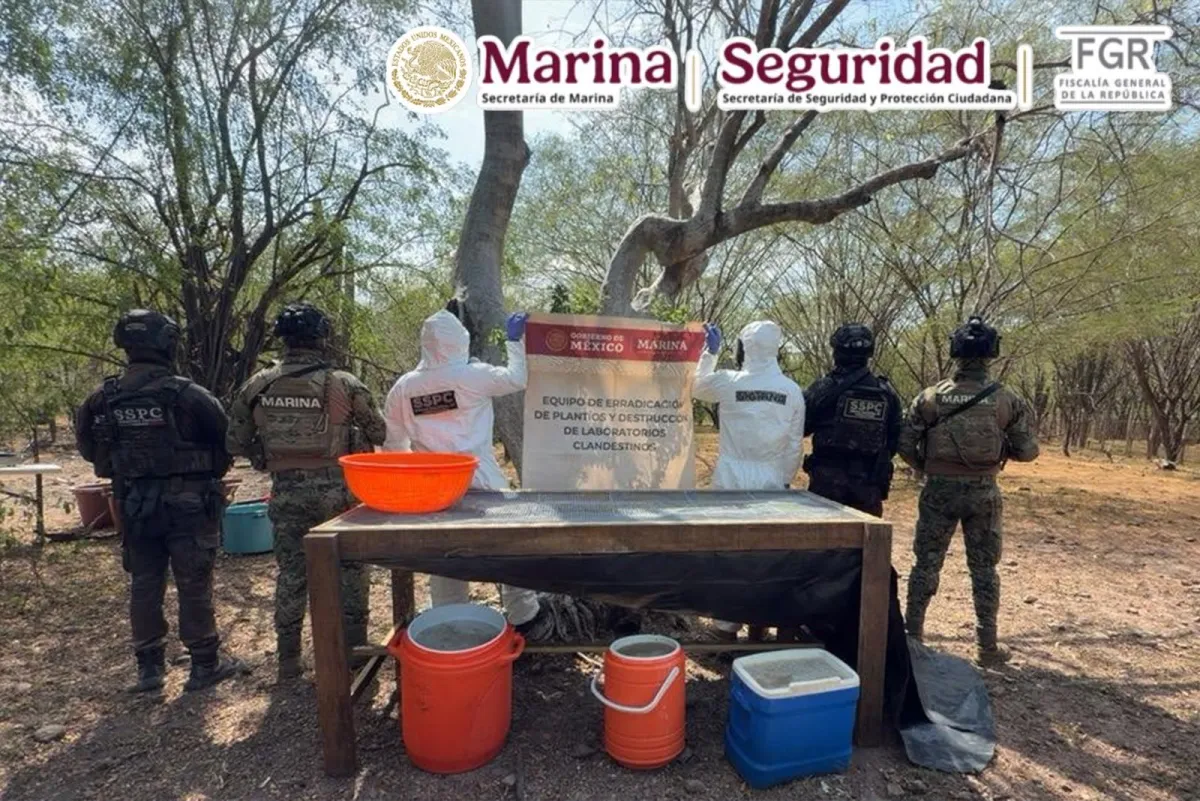 Desmantelan laboratorio de metanfetaminas en Los Brasiles, Sinaloa