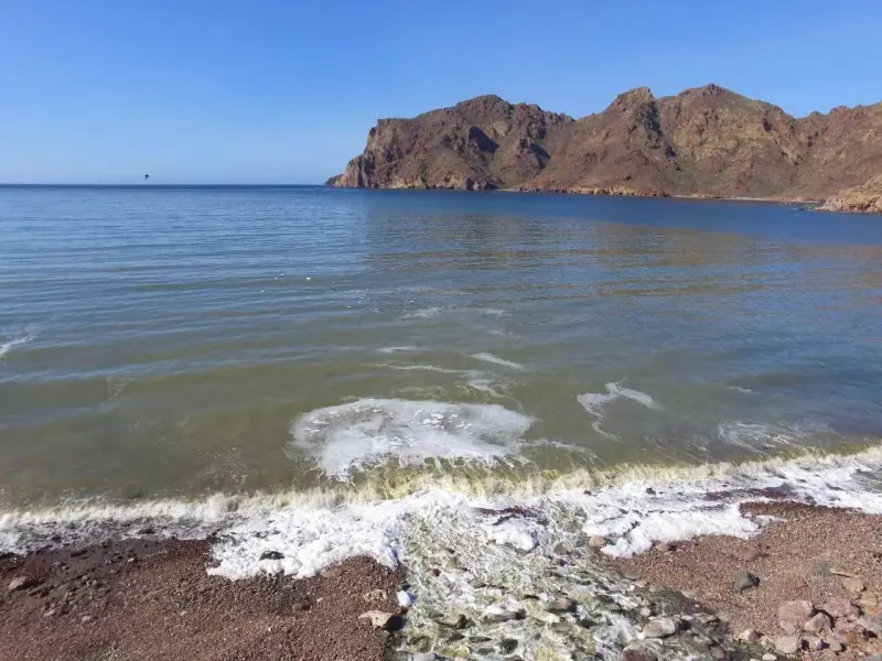 Empalme y Guaymas presentan marea creciente con niveles nunca vistos en 70 años