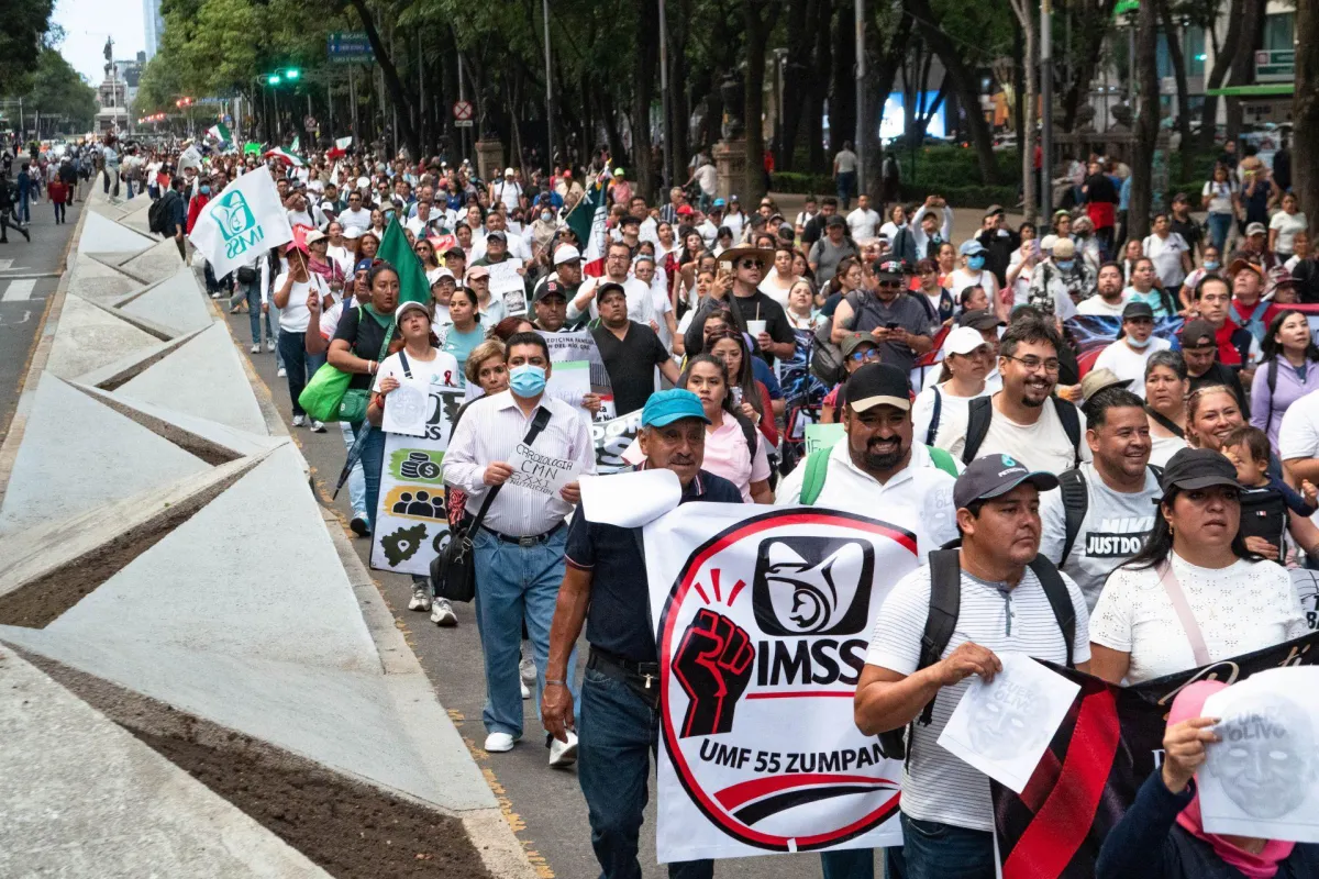 La carga del IMSS