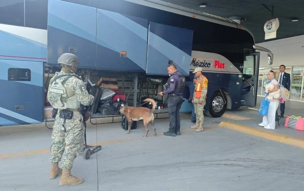 Despliegan SSPM y Defensa operativo vs drogas en Central Camionera