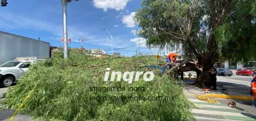Corregidora despliega operativo de seguridad por el Querétaro Maratón
