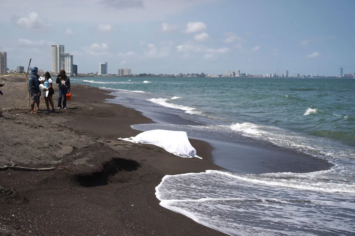 Profepa frena proyecto inmobiliario en costas del puerto de Alvarado por riesgo para el sistema lagunar de Veracruz