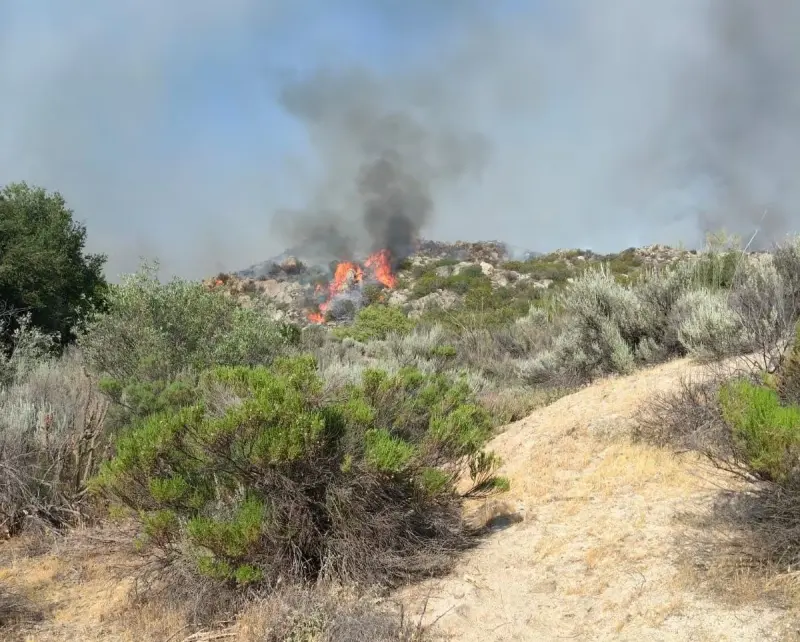 Dos incendios de pastizal afectan 229 hectáreas en Tijuana
