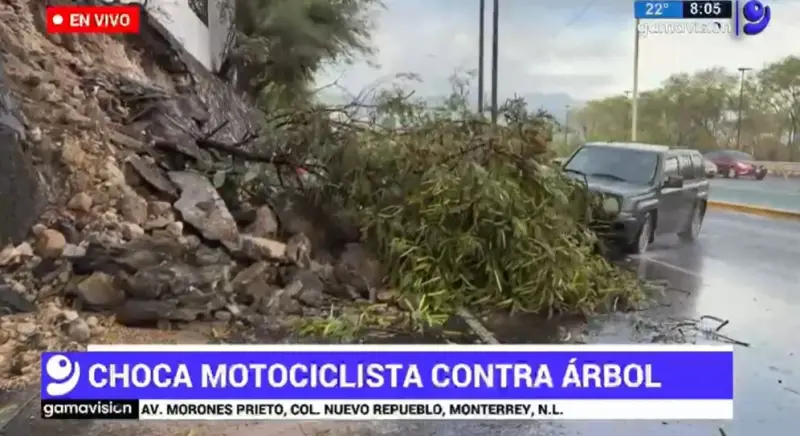 Atropellan a reportera y camarógrafo durante cobertura en NL