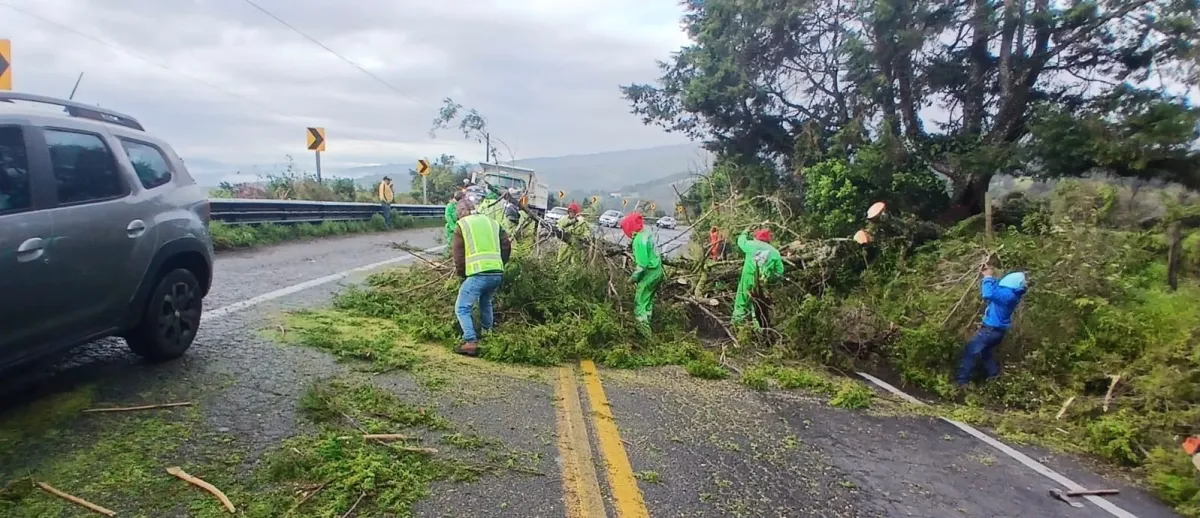 Atiende SICT daños en red carretera federal ocasionados por lluvias