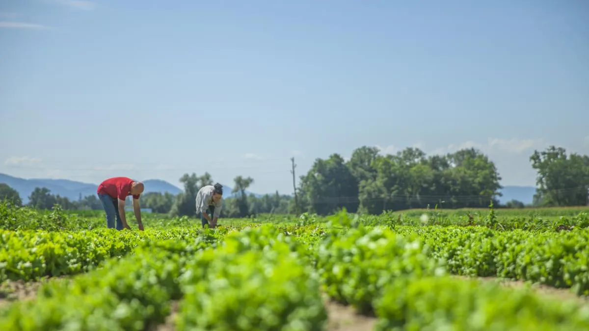 Startup de EdoMex lleva automatización al campo mexicano