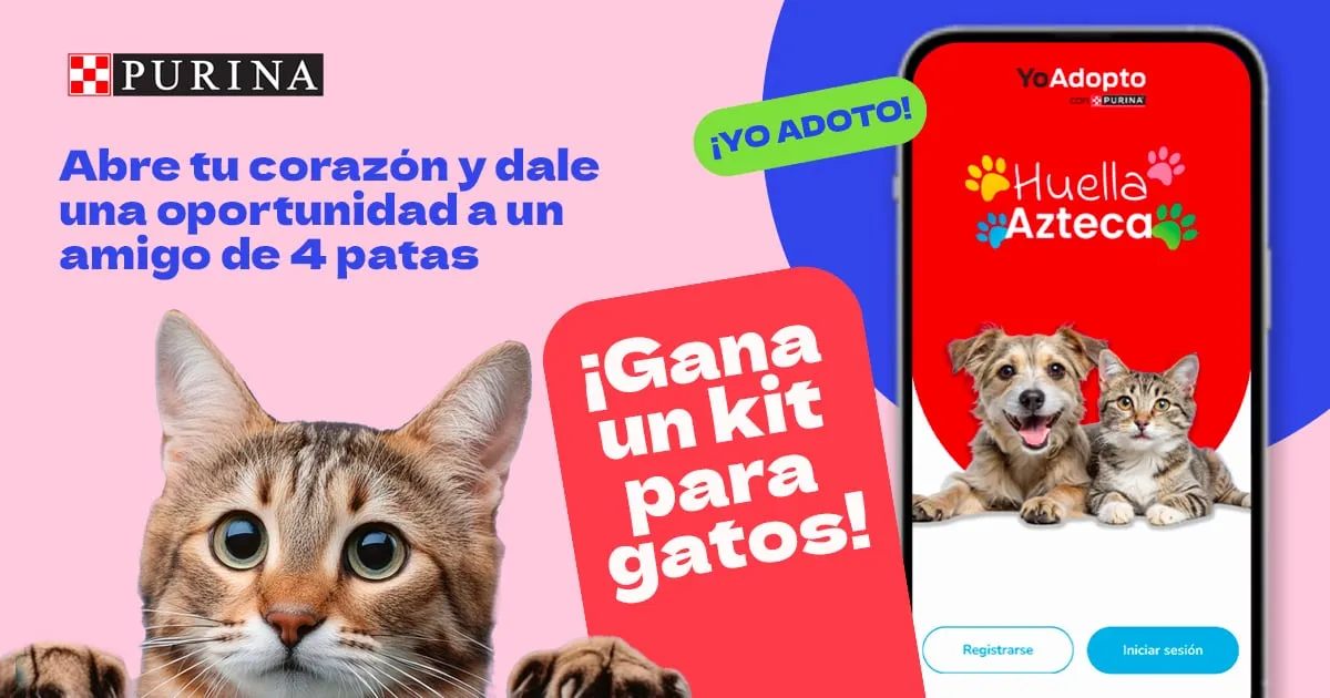 Purina, obtén un kit para gatos