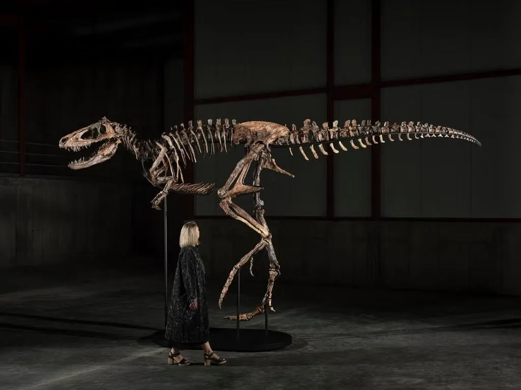 'Jodi', un esqueleto de Nanotyrannus, se vende por 47,3 millones de dólares en una subasta