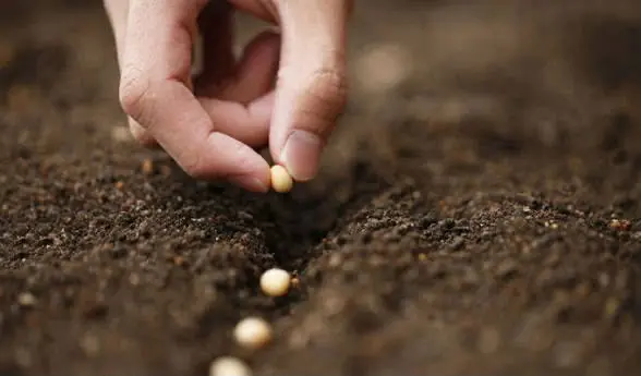 Alcanzaría agua para sembrar hasta 20% de superficie agrícola en 2027