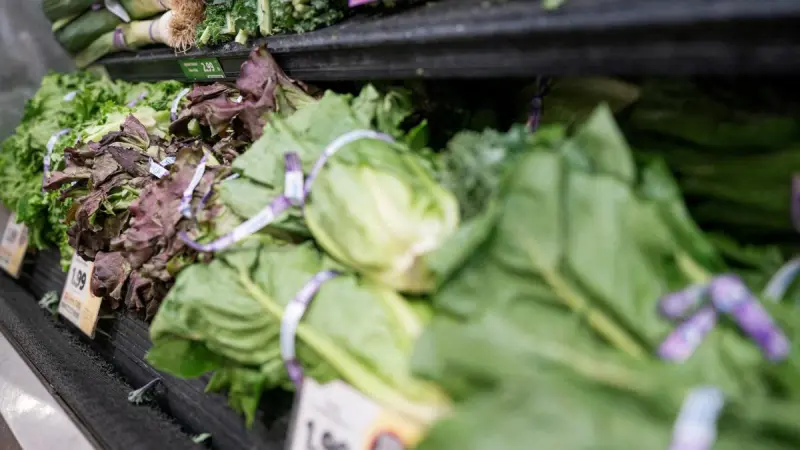 Salmonella y Cyclospora: Estados Unidos cierra investigaciones sin confirmar origen en productos mexicanos