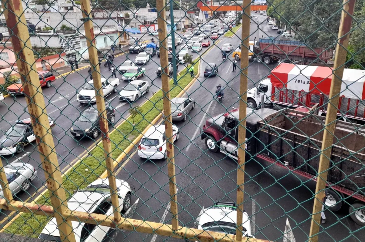 Gobierno de Veracruz respeta la libre manifestación: Rocío Nahle 