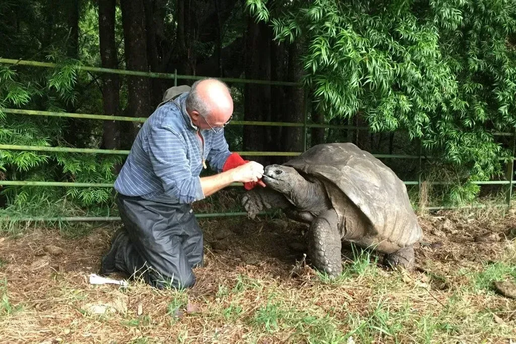 A sus 194 años, Jonathan, la tortuga gigante, sabe lo que es envejecer