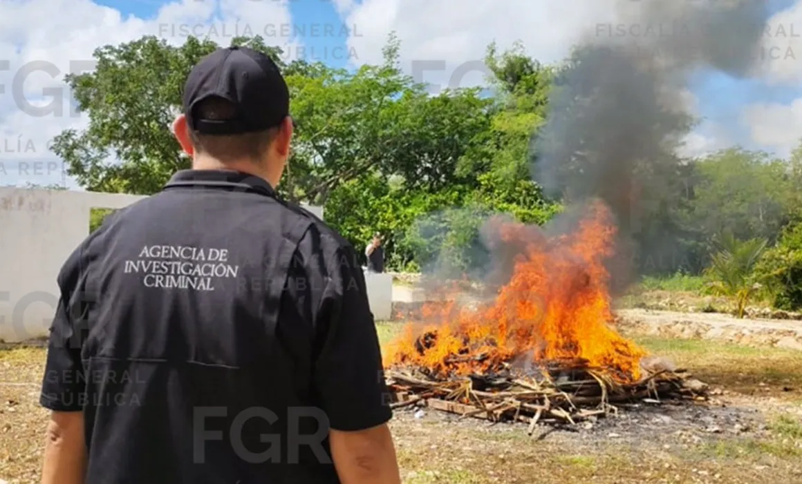 Incineran 24 kg de narcóticos en Yucatán