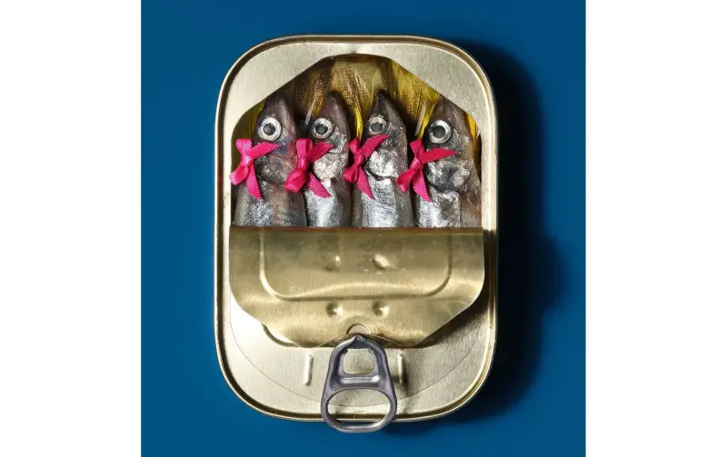 Ya no tengo que tomar decisiones gracias a mis infinitas latas de pescado