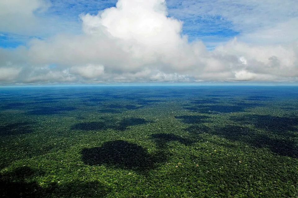 La Amazonia, el gran desafío ambiental de Lula tras su reelección en Brasil