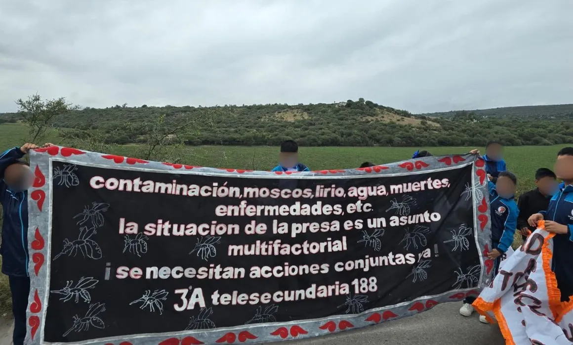 Alumnos de Tula marchan contra mosco cúlex; afecta sus estudios