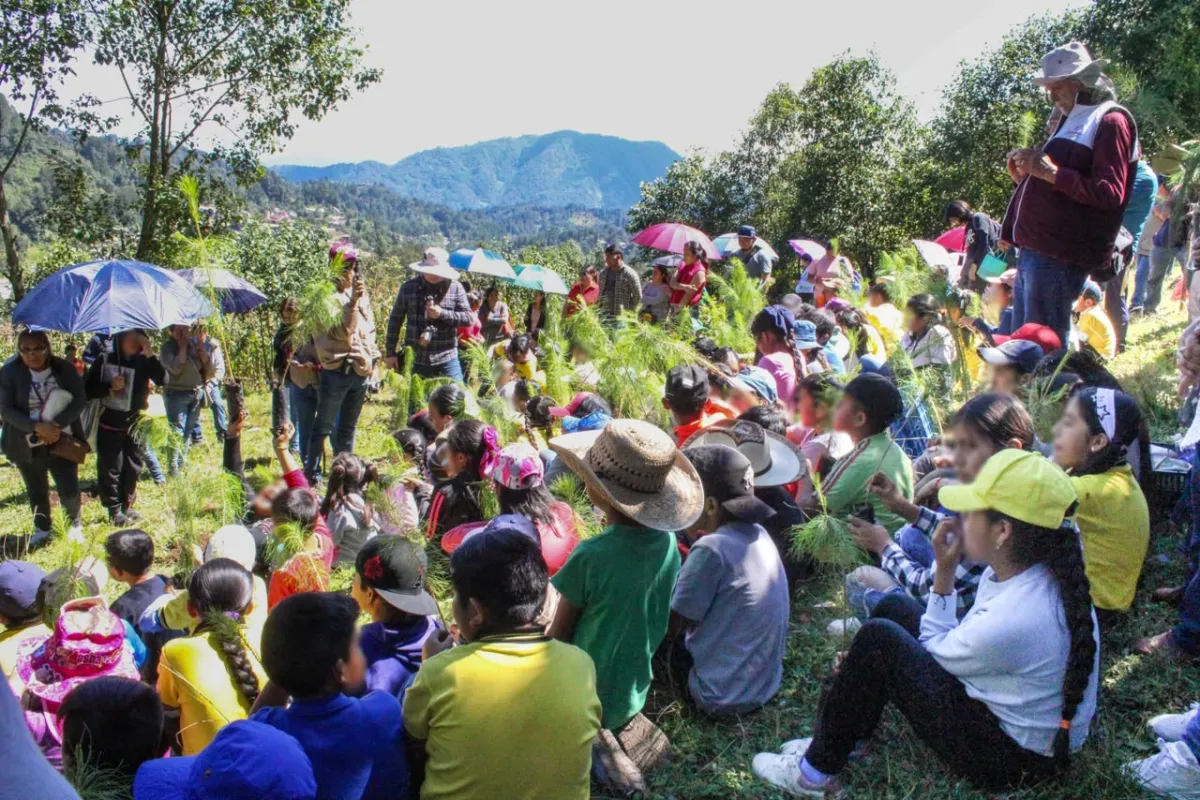 Sedema y Alpatláhuac reforestan 55.5 hectáreas en Altas Montañas