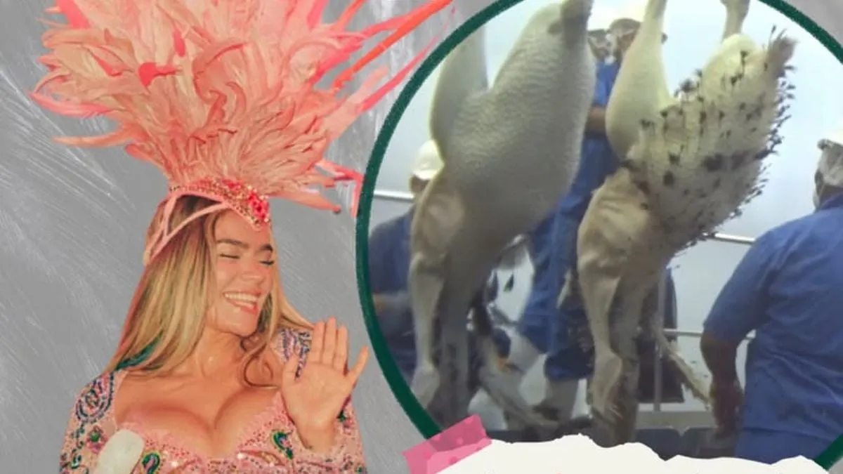 Karol G es blanco de críticas: PETA Latino la señala por usar plumas de aves