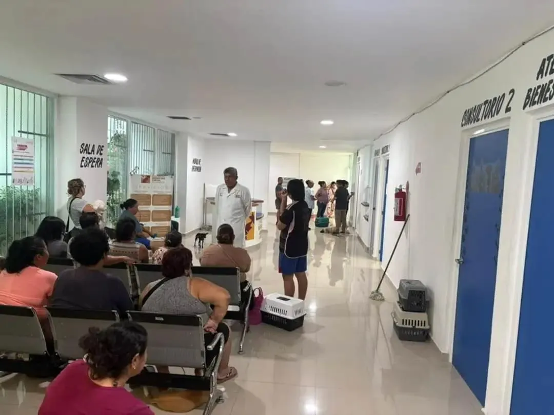 Da Ecología atención veterinaria a mascotas en Acapulco