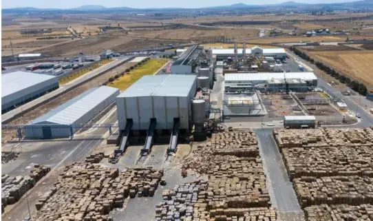 Grupak: la empresa mexicana detrás de millones de cajas que mueven la economía del país